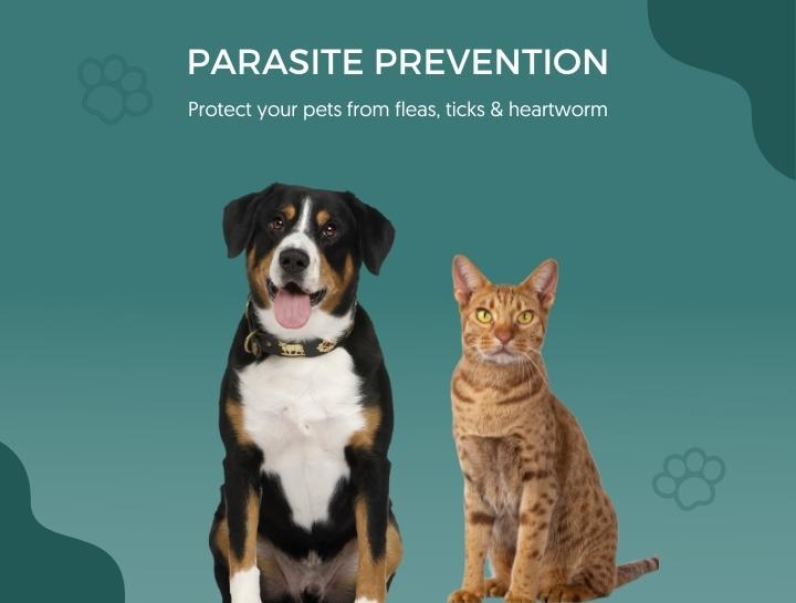 Parasite Prevention