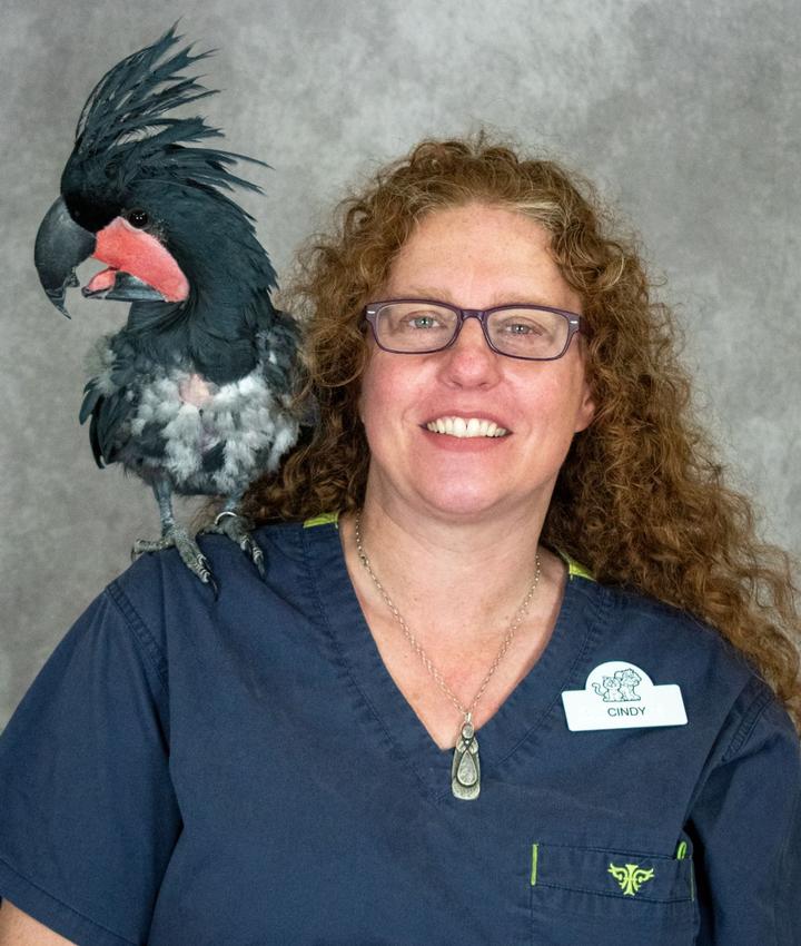 Portrait of Cindy