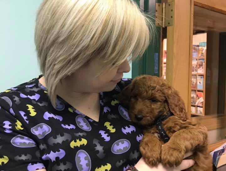 Puppy Care